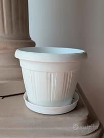 Vasi Bianchi Esterno 