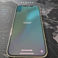 Iphone 12 Pro Max 256GB