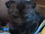 Immagine 4