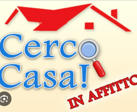 Cerco casa in affitto per tutto l'anno