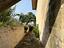 Immagine 21