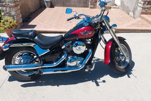 Kawasaki VN800 custom