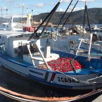 Peschereccio a strascico