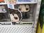 Immagine 5