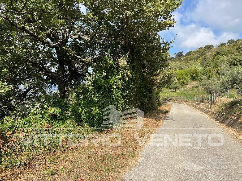 Terreno di 15903 m² a Laureana Cilento - Vista 4