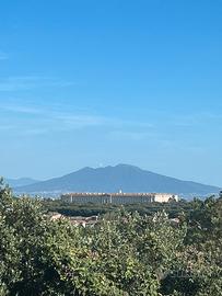 Appartamento panoramico con giardino privato