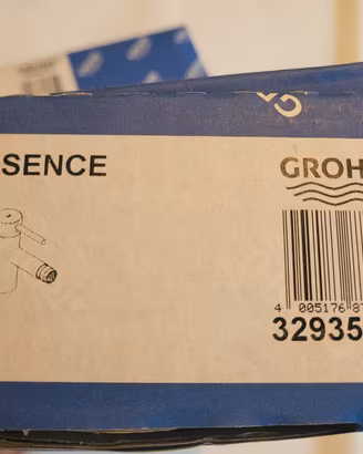 Rubinetteria GROHE Essence Cromo 