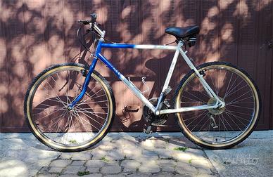 bicicletta mountain bike