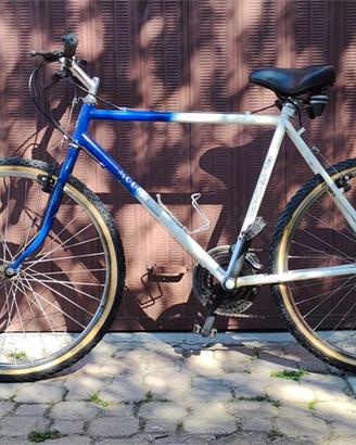 bicicletta mountain bike