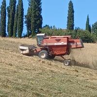 Mietitrebbia 3550 AL