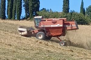 Mietitrebbia 3550 AL