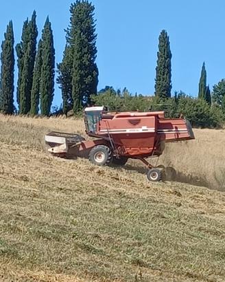 Mietitrebbia 3550 AL