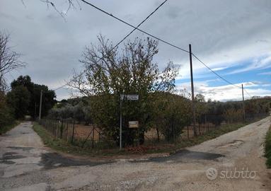 Terreno agricolo Palombara Sabina