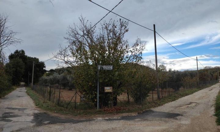Terreno agricolo Palombara Sabina