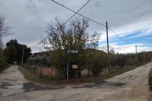 Terreno agricolo Palombara Sabina