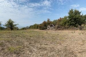 Terreno agricolo panoramico a Capaccio con rudere