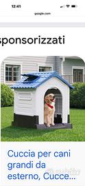Cuccia per cani