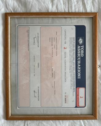 Titolo azionario Toro assicurazioni
