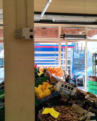 Attività Ortofrutta