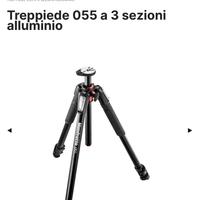Treppiede Manfrotto completo di testa e borsa tras