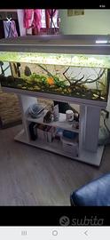 Acquario 100ml
