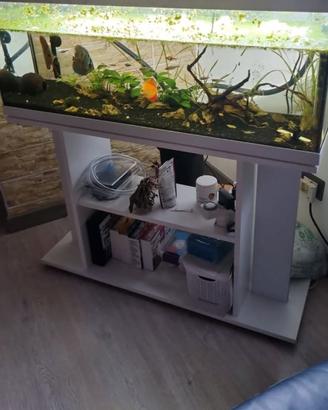 Acquario 100ml
