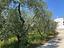 Immagine 28