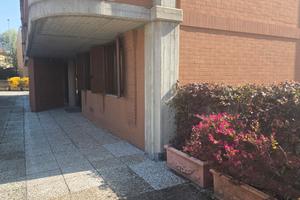 Stanza in studio professionale condiviso