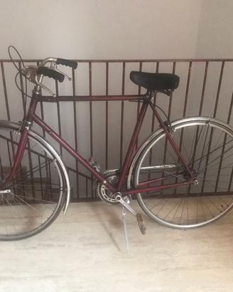 Bici passeggio