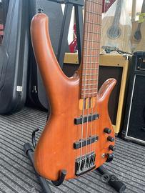Basso Mari 4 corde