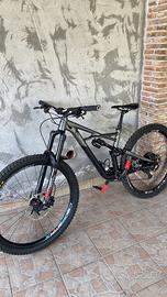 Mtb specialized enduro