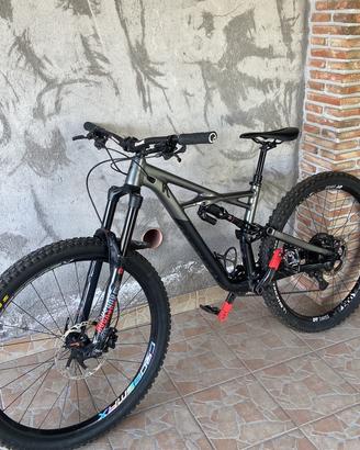 Mtb specialized enduro