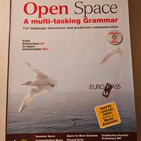libro di grammatica inglese open space