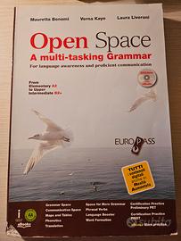 libro di grammatica inglese open space