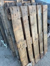 Pallet Epal