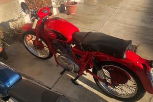 Moto Guzzi Lodola 175