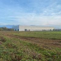 Terreno agricolo ideale per vigneti