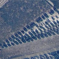 Terreno agricolo con uliveto