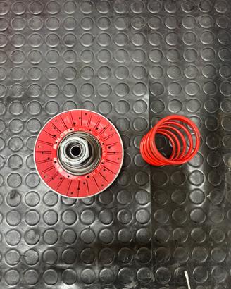 Correttori furia rossa