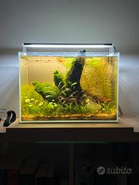 Lampada acquario Chihiros A301 bluetooth