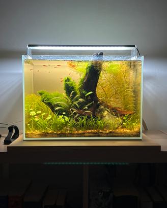 Lampada acquario Chihiros A301 bluetooth