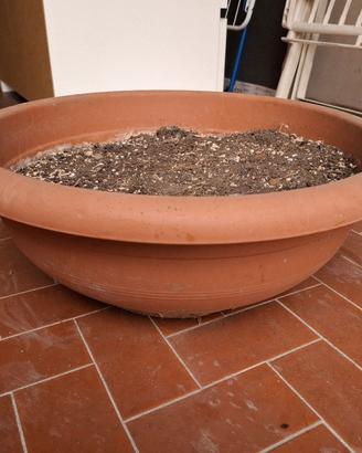 Ciotola / vaso in plastica per fiori 