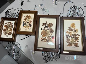 Quadretti fiori secchi