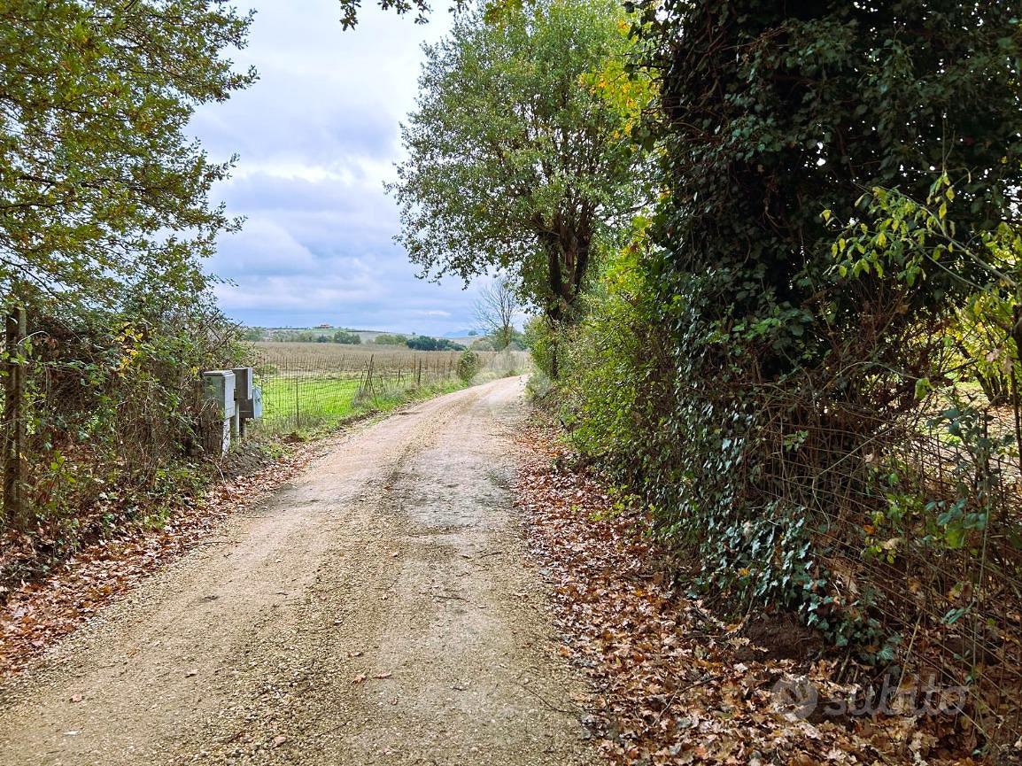 RUSTICO A SUTRI - Vista 4