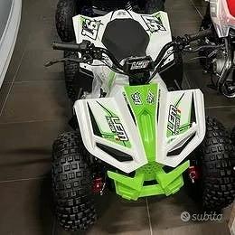 Quad LEM GRIZZLY ELECTRIC