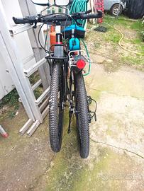 bici pieghevole 