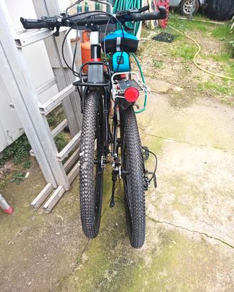 bici pieghevole 
