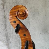 violoncello anonimo