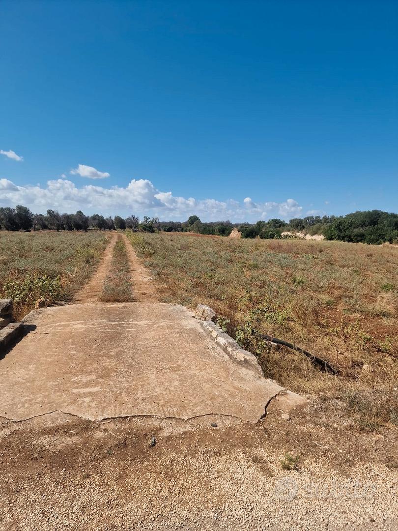 Terreno vicino alla Riserva di Torre Guaceto - Vista 5