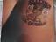 Immagine 1